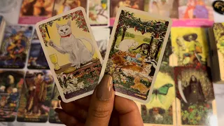 CAPRICORN 👀❤️ ADMIRING EACH OTHER FROM A DISTANCE ❤️ APRIL 2022 LOVE TAROT CARD READING