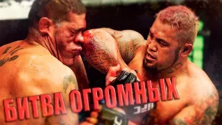 10 ТИТАНОВ НА РИНГЕ UFC MMA WWE!
