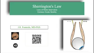 Sherrington's Law or Reciprocal Innervation Law.