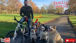 Mia's First Bike Ride And Puppy's First Walkies! (So Cute!!)