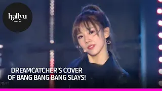Dreamcatcher "Bang Bang Bang" (BIGBANG Cover) 2018 Jeju Hallyu Festival Reaction