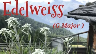 Edelweiss Instrumental (G major) lyrics #tomysimson #instrumental