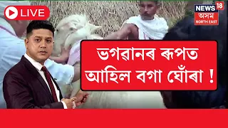 LIVE | Gohpur Superstition News | ভগৱানৰ ৰূপত আহিল বগা ঘোঁৰা! | White Horse | Assam News | N18L