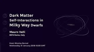 Mauro Valli: Dark Matter Self-Interactions in Milky Way Dwarfs | Webinar 57