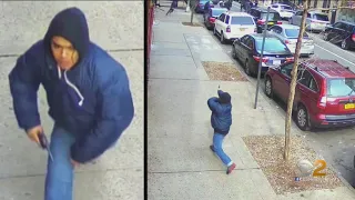 Gunman Opens Fire In Broad Daylight On Busy Bronx Sidewalk