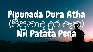 Pipunada Dura Atha (පිපුනාද දුර ඈත)| Nil Patata Pena (8D Audio🎧)