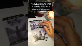 Какая Душа хочет с вами пообщаться 🔮Связаться из мира мёртвых ⚡#медиум #гадание #таро #расклад