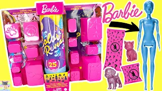 Toy Unboxing Barbie Color Reveal 25 Surprises Day To Night Transformation Carnival to Concert Doll