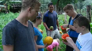 Navigate Vanuatu Like a Pro: Essential Travel Tips for Getting Around