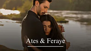 Ates & Feraye || strange birds [ Safir ]