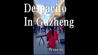 ♪Despacito♪  Guzheng Cover 法國街頭，中國古箏演繹Despacito中西結合