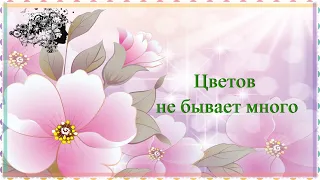 Слайд-шоу "Цветов не бывает много"