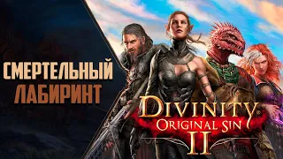 СОКРОВИЩНИЦА БРАККА Divinity: Original Sin 2 - Прохождение #6