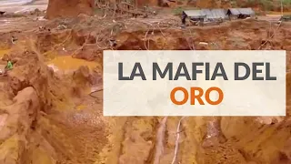 La mafia del oro