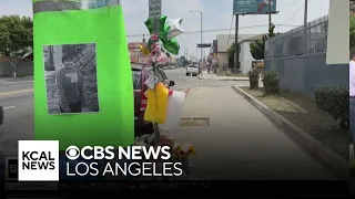 Community calls for intersection safety after 13-year-old boy is killed by car in LA