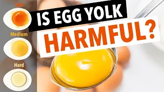The Shocking TRUTH about Eggs & Cholesterol!