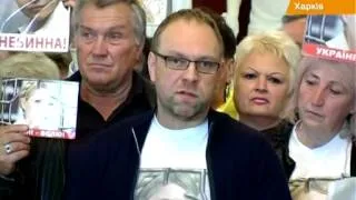 Власенко назвал суд над Тимошенко "кенгурячим"