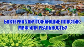 Дыхание жизни. Бактерии и гусеницы уничтожающие пластик: миф или реальность? Новые технологии.