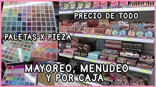 ¿DÓNDE COMPRAR SANIYE? IDEAL PARA NEGOCIO: MAQUILLAJE, SKINCARE Y UÑAS MUY BARATO | Lau Kudo