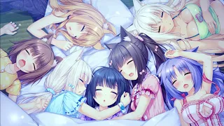 NekoPara Vol 0 - Полное прохождение без комментариев