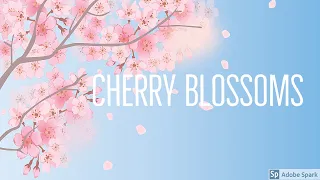 Cherry Blossoms Beautiful Music,Deep Relaxation Music,Calm Music,Relax Song,Boost Your Aura 🕊