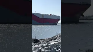 Big Car Carrier Cargo Ship on Small River in Canada #shorts