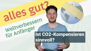 Ergibt es Sinn, CO2 für Flüge zu kompensieren?