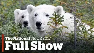 The National for Thursday, November 2nd: Vanishing bears, workplace harassment, extinguisher recall