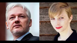 Il caso Assange - Stefania Maurizi