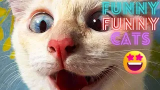 2 HOUR BEST FUNNY CATS COMPILATION 2023 😂| The Best Funny And Cute Cat Videos 19 !😸 😸