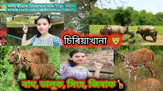 Assam state zoo cum botanical garden🦁#zoo #guwahati #assam