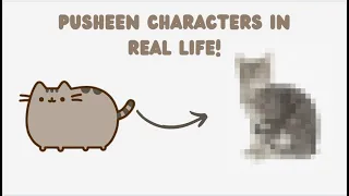 Pusheen Characters in Real Life!