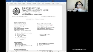 CB 3 Manhattan - Executive Committee Meeting - February 19, 2021