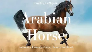 Unveiling the Majestic Arabian Horse
