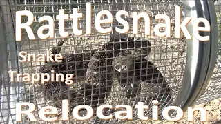 Rattlesnake Relocation -Trapped Snake Transport & Release-