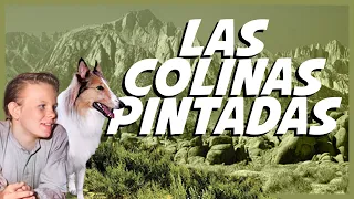 Las colinas pintadas 🐕 | Película del Oeste Completa en Español | Paul Kelly (1951)