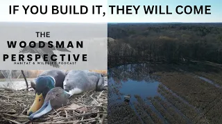 Building for Ducks