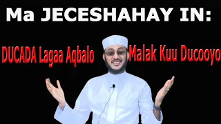 Ma JECESHAHAY IN: DUCADA Lagaa Aqbalo, Malak Kuu Ducooyo::::: Dr Ahmed Al-Yamaani