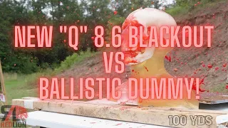 8.6 Blackout VS Human Head @ 100yds!