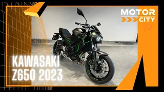 Kawasaki Z650 | 2023 | walkaround and dashboard