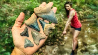 An AMAZING Shark Tooth Hunting Day in a Florida Creek! | Fossil Hunting for Megalodon Teeth