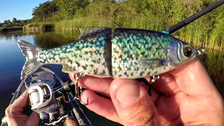 Fishing A Crappie Glide Bait For River Smallmouth!