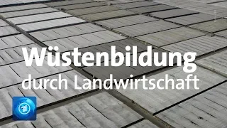 Intensive Landwirtschaft sorgt für Wüstenbildung