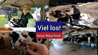 FarmVlog#71 - Gülle fahren, Kühe melken und Mais säen