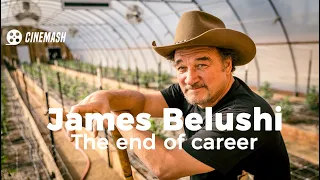 James Belushi.The end of career