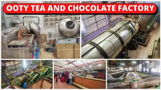 Ooty Tea and Chocolate Factory Tour || Best Tourist Places to Visit in Ooty || Episode - 4