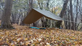 Bushcraft Cooking, A Rainy Autumn Day InThe Forest, Eat Chicken Kabab, Eat Fruit In The Autumn Camp