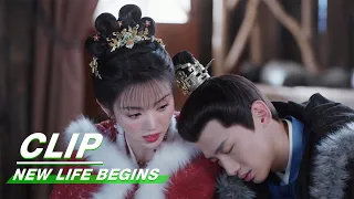 Yin Zheng Faints | New Life Begins EP36 | 卿卿日常 | iQIYI