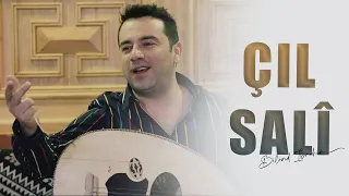 Bilind Ibrahim - Çil Salî