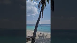 Maldive thoddoo island | Maldiv Todo adası | Maldivlər